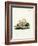 Ferret-null-Framed Giclee Print