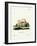 Ferret-null-Framed Giclee Print