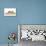 Ferrets 001-Andrea Mascitti-Mounted Photographic Print displayed on a wall