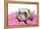 Ferrets 002-Andrea Mascitti-Framed Premier Image Canvas