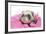 Ferrets 002-Andrea Mascitti-Framed Photographic Print