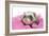 Ferrets 002-Andrea Mascitti-Framed Photographic Print