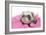 Ferrets 002-Andrea Mascitti-Framed Photographic Print