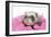 Ferrets 002-Andrea Mascitti-Framed Photographic Print