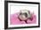 Ferrets 002-Andrea Mascitti-Framed Photographic Print