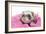 Ferrets 002-Andrea Mascitti-Framed Photographic Print