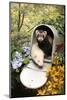 Ferrets In A Mailbox-Blueiris-Mounted Photographic Print