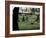 Ferris Perennial Garden, Spokane, Washington, USA-null-Framed Photographic Print