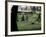 Ferris Perennial Garden, Spokane, Washington, USA-null-Framed Photographic Print