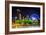 Ferris Wheel and Buildings Seen from Olympic Centennial Park at Night in Atlanta, Georgia.-Jon Bilous-Framed Photographic Print