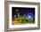 Ferris Wheel and Buildings Seen from Olympic Centennial Park at Night in Atlanta, Georgia.-Jon Bilous-Framed Photographic Print