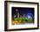 Ferris Wheel and Buildings Seen from Olympic Centennial Park at Night in Atlanta, Georgia.-Jon Bilous-Framed Photographic Print