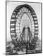 Photographic Print