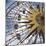 Ferris Wheel-Liz Jardine-Mounted Art Print
