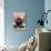Ferrovia Cherry of Turi Dop-null-Photographic Print displayed on a wall