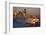 Ferry Boat in Elliot Bay-Paul Souders-Framed Photographic Print