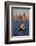 Ferry Boat in Elliot Bay-Paul Souders-Framed Photographic Print