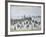 Ferry Boats, 1960-Laurence Stephen Lowry-Framed Giclee Print