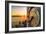 Ferry Building Clock Tower Sunrise San Francisco Beautiful Travel-Vincent James-Framed Photographic Print