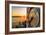 Ferry Building Clock Tower Sunrise San Francisco Beautiful Travel-Vincent James-Framed Photographic Print