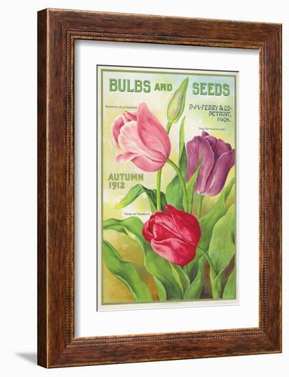 Ferry Bulbs and Seeds Detroit-null-Framed Art Print