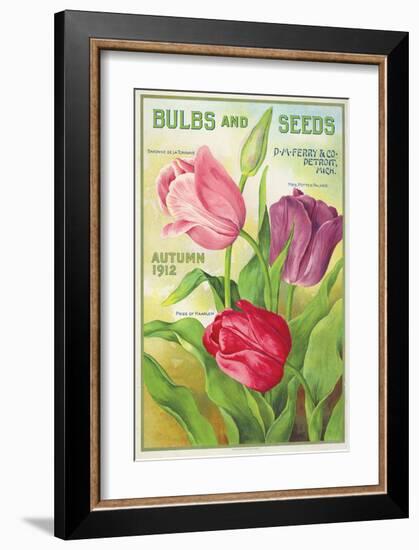 Ferry Bulbs and Seeds Detroit-null-Framed Art Print