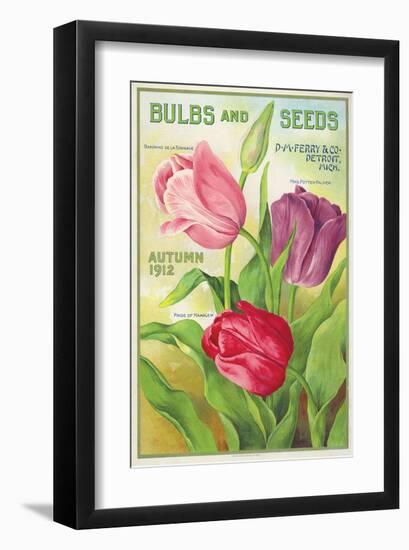 Ferry Bulbs and Seeds Detroit-null-Framed Art Print