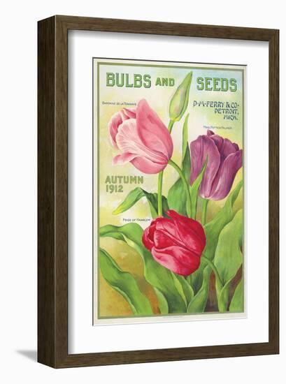 Ferry Bulbs and Seeds Detroit-null-Framed Art Print