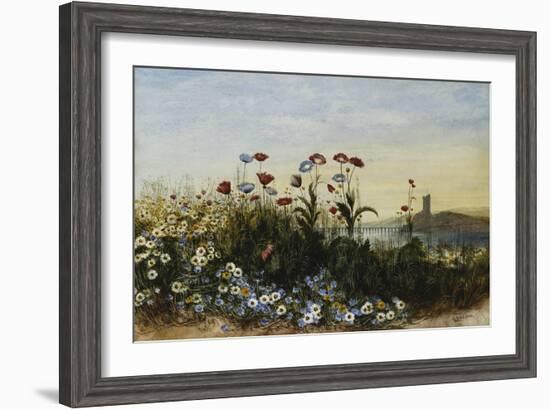 Ferry Carrig Castle, Co. Wexford, Seen Through a Bank of Wild Flowers-Andrew Nicholl-Framed Giclee Print