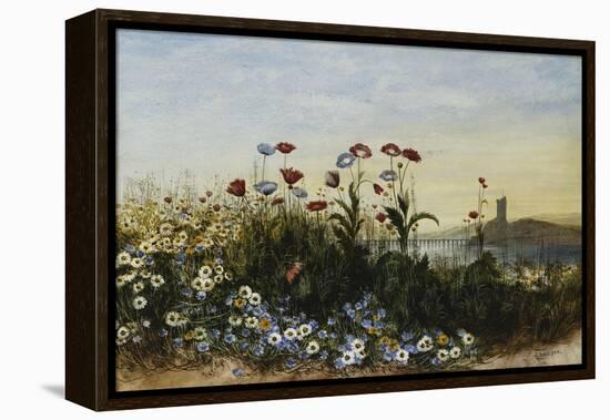 Ferry Carrig Castle, Co. Wexford, Seen Through a Bank of Wild Flowers-Andrew Nicholl-Framed Premier Image Canvas