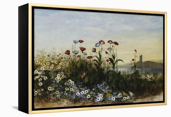 Ferry Carrig Castle, Co. Wexford, Seen Through a Bank of Wild Flowers-Andrew Nicholl-Framed Premier Image Canvas