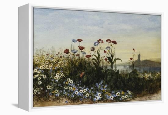 Ferry Carrig Castle, Co. Wexford, Seen Through a Bank of Wild Flowers-Andrew Nicholl-Framed Premier Image Canvas