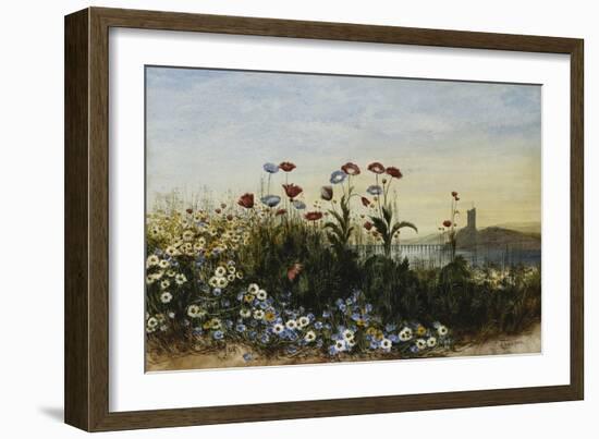 Ferry Carrig Castle, Co. Wexford, Seen Through a Bank of Wild Flowers-Andrew Nicholl-Framed Premium Giclee Print