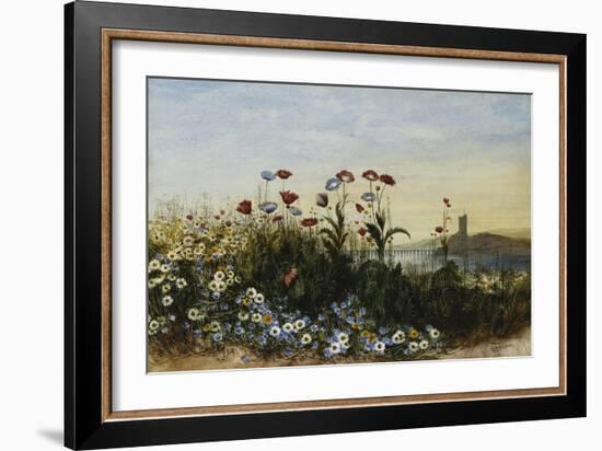 Ferry Carrig Castle, Co. Wexford, Seen Through a Bank of Wild Flowers-Andrew Nicholl-Framed Giclee Print