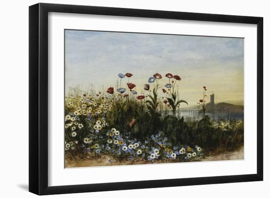 Ferry Carrig Castle, Co. Wexford, Seen Through a Bank of Wild Flowers-Andrew Nicholl-Framed Giclee Print