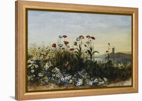 Ferry Carrig Castle, Co. Wexford, Seen Through a Bank of Wild Flowers-Andrew Nicholl-Framed Premier Image Canvas