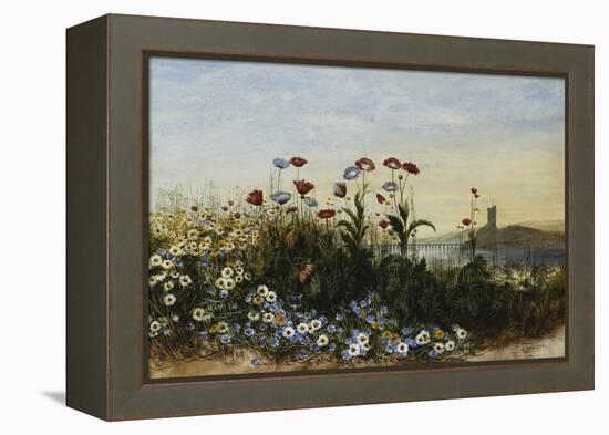 Ferry Carrig Castle, Co. Wexford, Seen Through a Bank of Wild Flowers-Andrew Nicholl-Framed Premier Image Canvas