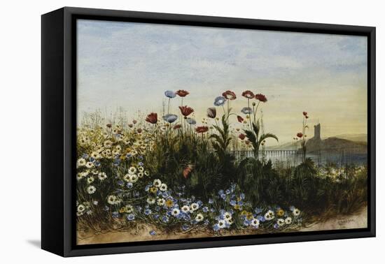 Ferry Carrig Castle, Co. Wexford, Seen Through a Bank of Wild Flowers-Andrew Nicholl-Framed Premier Image Canvas