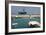 Ferry Departing from the Harbour of Poros, Kefalonia, Greece-Peter Thompson-Framed Photographic Print