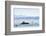 Ferry, Friedrichshafen, Lake of Constance, Baden-Wurttemberg, Germany-Ernst Wrba-Framed Photographic Print