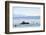 Ferry, Friedrichshafen, Lake of Constance, Baden-Wurttemberg, Germany-Ernst Wrba-Framed Photographic Print