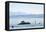 Ferry, Friedrichshafen, Lake of Constance, Baden-Wurttemberg, Germany-Ernst Wrba-Framed Premier Image Canvas