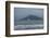 Ferry from the Westman Islands-Catharina Lux-Framed Photographic Print