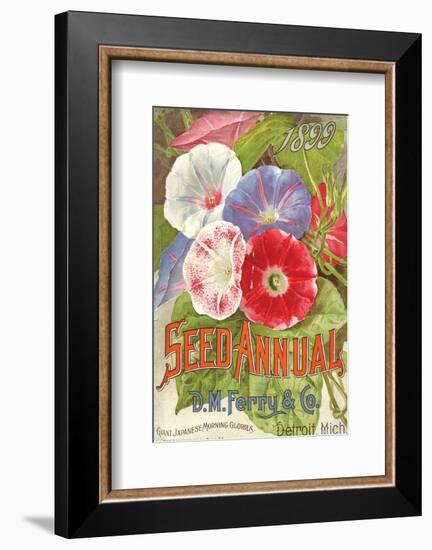 Ferry Seed Annual Detroit MI-null-Framed Art Print