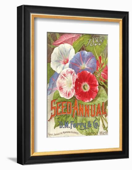 Ferry Seed Annual Detroit MI-null-Framed Art Print