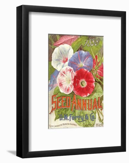 Ferry Seed Annual Detroit MI-null-Framed Art Print