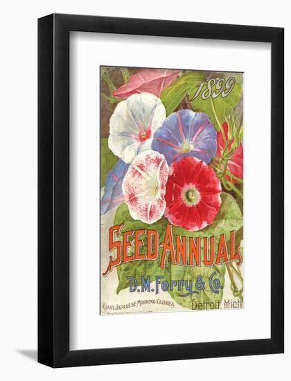 Ferry Seed Annual Detroit MI-null-Framed Art Print