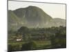 Fertile Plain with Little Farm and Typical Haystack Hills, UNESCO World Heritage Site, Cuba-Eitan Simanor-Mounted Photographic Print