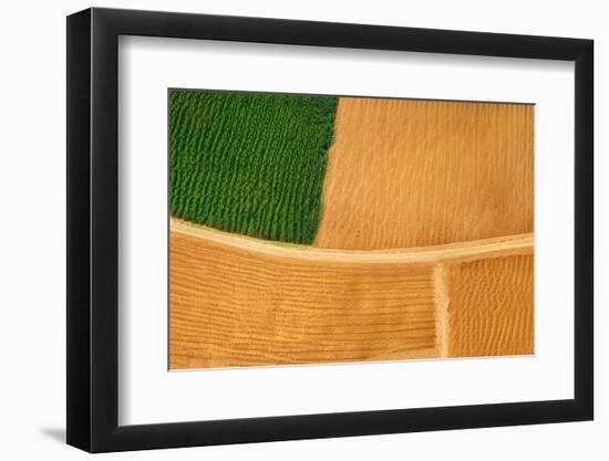 Fertility-Marco Carmassi-Framed Photographic Print