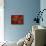 Fertilization-David Mack-Framed Premier Image Canvas displayed on a wall